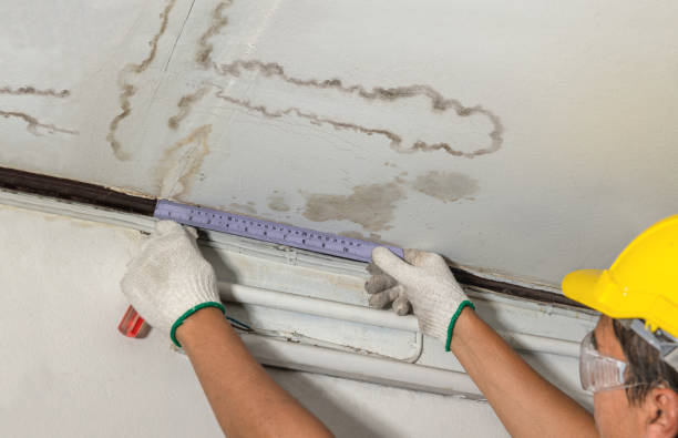 Reliable Mold Remediation contractor in Oak Ridge, NC by Water Damage Irwin